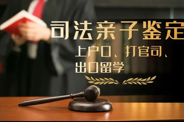 广州哪里能做司法亲子鉴定（2023-2024年度汇总）